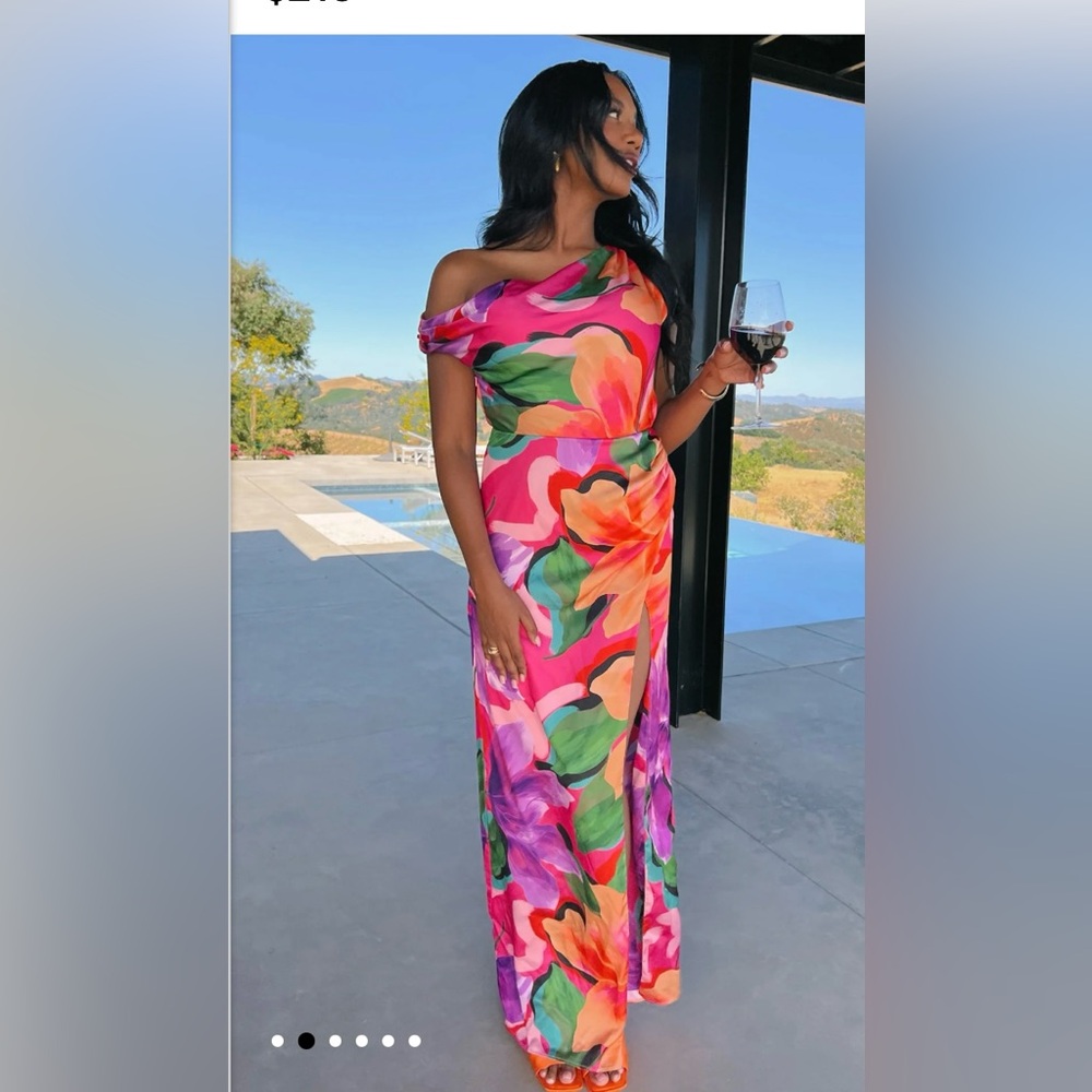 Jodie Dress worn once